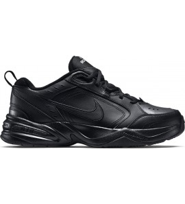 Air Monarch IV 415445-001